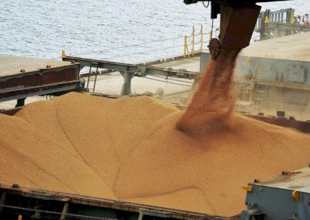 QUEBRA NA SAFRA 23/24 DE SOJA REFLETIU NAS EXPORTAÇÕES NO 1° SEMESTRE DE 2024