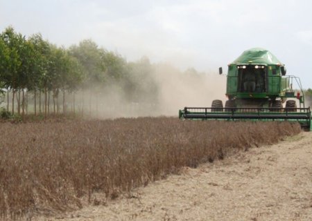 PRAZO PARA PRODUTOR RURAL EMITIR NOTA FISCAL ELETRÔNICA É PRORROGADO