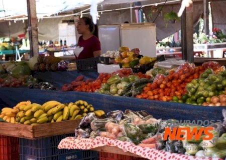 PRODUÇÃO LOCAL DE ALIMENTOS SAUDÁVEIS PODE MELHORAR ALIMENTAÇÃO EM ZONAS URBANAS