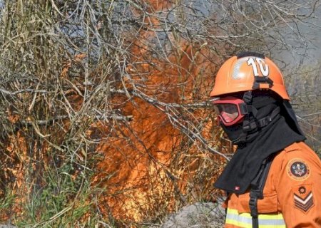 PREVENÇÃO AOS INCÊNDIOS FLORESTAIS SERÁ DISCUTIDA POR AUTORIDADES NESTA TERÇA E QUARTA NA FAMASUL