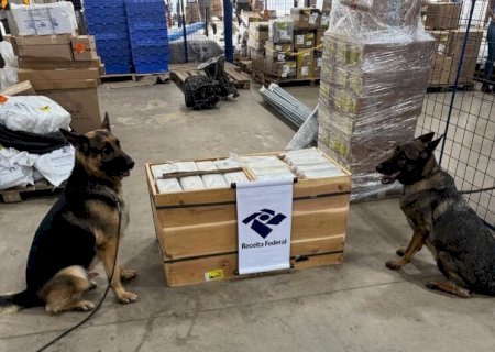 CÃES FAREJADORES AUXILIAM NA APREENSÃO DE R$ 2 MILHÕES EM PASTA BASE DE COCAÍNA EM TRANSPORTADORA