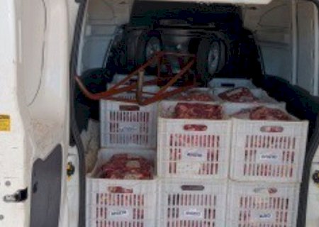POLÍCIA APREENDE CARNE IRREGULAR QUE SERIA ENTREGUE A MERENDA ESCOLAR