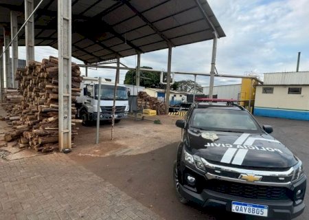 POLÍCIA CIVIL INCINERA MAIS DE 1 TONELADA DE DROGAS EM IGUATEMI