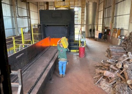 MAIS DE SEIS TONELADAS DE DROGAS SÃO INCINERADAS NA FRONTEIRA
