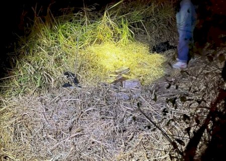 COCAÍNA É ENCONTRADA ENTERRADA EM VÁRIOS PONTOS DE AEROPORTO
