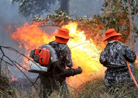 SOB COORDENAÇÃO DOS BOMBEIROS DE MS, FORÇA NACIONAL JÁ ATUA NO COMBATE AO FOGO NO PANTANAL