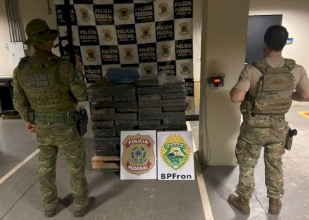 OPERAÇÃO NA DIVISA COM MS APREENDE MAIS DE MEIA TONELADA DE MACONHA