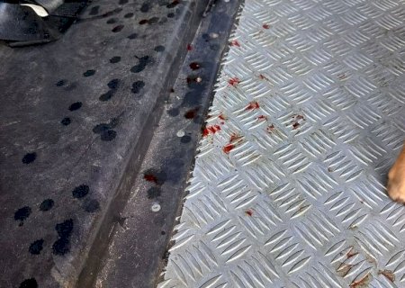 TESTEMUNHA VÊ CADELA MANCANDO E HOMEM VAI PRESO POR ABUSAR SEXUALMENTE DO ANIMAL