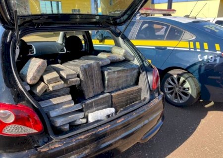 POLÍCIA APREENDE QUASE 700 KG DE DROGAS EM FLAGRANTES NA BR-163