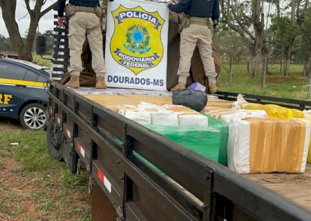IRMÃOS DE SÃO PAULO SÃO PRESOS COM MAIS DE 1,5T DE MACONHA EM RODOVIA DO MS