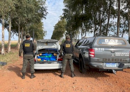 JOVEM É PRESO COM MAIS DE 1 TONELADA DE MACONHA QUE LEVARIA PARA O PARANÁ