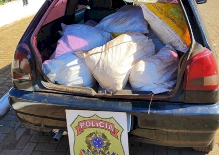 DUAS PESSOAS SÃO PRESAS EM MS COM MAIS DE 1T DE AGROTÓXICOS CONTRABANDEADOS