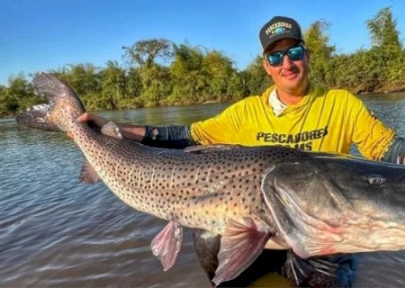 ‘GIGANTE DO RIO DOURADOS’: PESCADOR FISGA PINTADO GIGANTE EM RIO DE MS