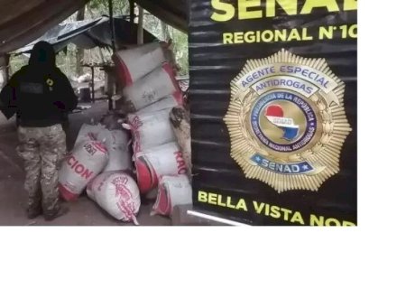 POLÍCIA PARAGUAIA FECHA BASE DO TRÁFICO COM 6 HECTARES DE MACONHA