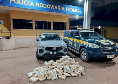 POLÍCIA APREENDE QUASE 70 QUILOS DE SKUNK QUE SERIA LEVADO ATÉ O PR