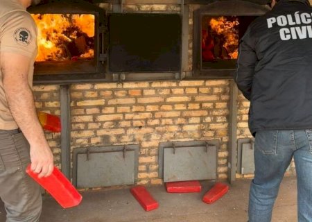 MEIA TONELADA DE MACONHA É INCINERADA APÓS APREENSÕES