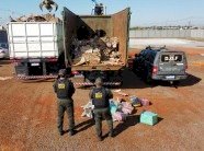 DOF APREENDE 8,1 TONELADAS DE MACONHA EM CARGA DE PAPELÃO