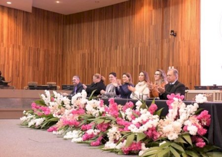 EM MS, AUTORIDADES DISCUTEM AVANÇOS NO COMBATE À VIOLÊNCIA DE GÊNERO