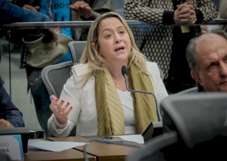 PROJETO DE CARRINHOS ADAPTADOS EM SUPERMERCADOS E HIPERMERCADOS DE MATO GROSSO DO SUL AVANÇA NA ASSEMBLEIA LEGISLATIVA