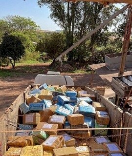 MACONHA APREENDIDA PELA PRF TOTALIZOU COM MAIS 28,2 TONELADAS