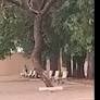 EM PLENA LUZ DO DIA, CASAL É FILMADO FAZENDO SEXO EM PRAÇA