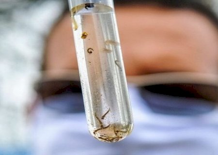 CRIANÇA É A TERCEIRA VÍTIMA DA DENGUE NO ANO EM DOURADOS E MS CHEGA A 29 MORTES