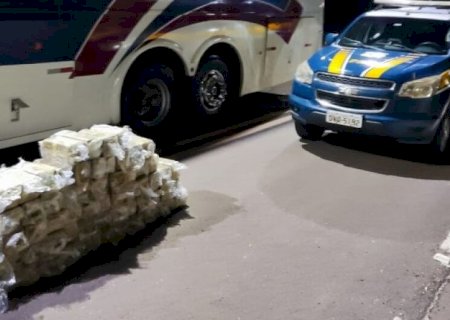 POLÍCIA APREENDE 210 KG DE COCAÍNA EM ÔNIBUS DURANTE FISCALIZAÇÃO NA BR-267
