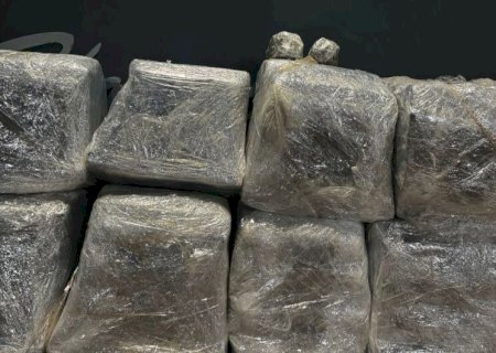MULHERES SÃO PRESAS APÓS POLÍCIA ENCONTRAR QUASE 180 KG DE DROGAS EM CANIL DE CACHORRO