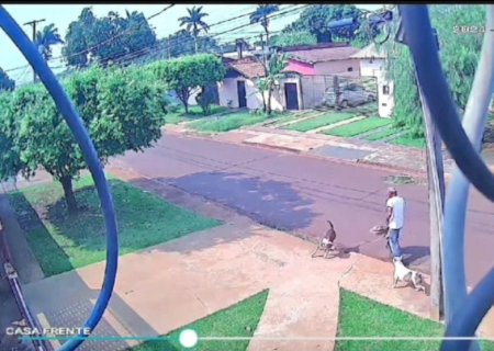 HOMEM É ATACADO NA RUA POR PITBULLS E TEM ORELHA DILACERADA EM DOURADOS