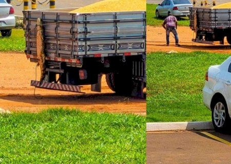 HOMEM LEVA MULTA POR TRANSPORTAR JACARÉ AMARRADO EM CARROCERIA DE CAMINHÃO