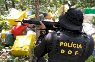 MATO GROSSO DO SUL INTENSIFICA COMBATE AO TRÁFICO E REGISTRA AUMENTO DE 33% NAS APREENSÕES DE DROGAS