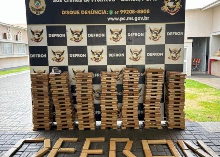 POLICIA CIVIL APREENDE 375 QUILOS DE MACONHA EM BAIRRO DE DOURADOS