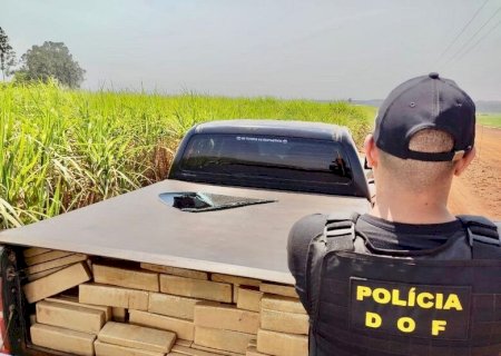 DOF APREENDE MAIS 33% DE DROGAS NO ESTADO
