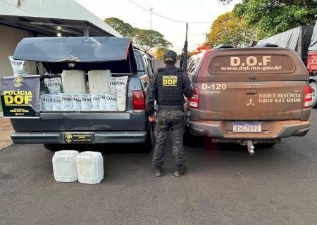 DOF APREENDE EM MARACAJU CARGA MILIONÁRIA DE AGROTÓXICO CONTRABANDEADO DO PARAGUAI