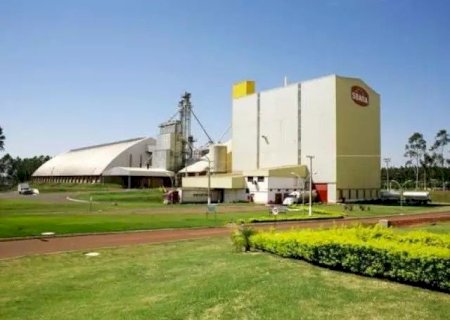 SEARA DE DOURADOS OFERECE MAIS DE 200 VAGAS DE EMPREGO; NÃO EXIGE EXPERIÊNCIA