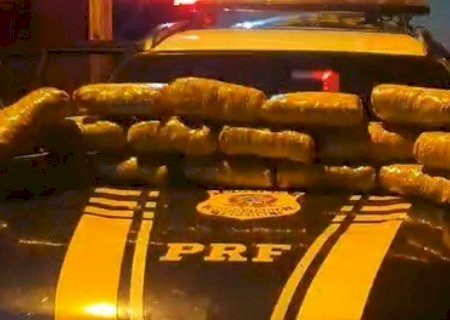 MULHER É PRESA TRANSPORTANDO SKUNK EM ÔNIBUS NA BR-262
