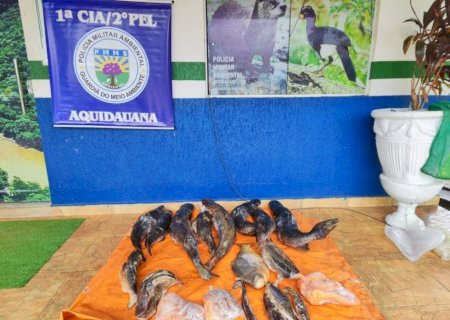 OPERAÇÃO PIRACEMA DA POLÍCIA AMBIENTAL JÁ APREENDEU 270 QUILOS DE PESCADO EM MS