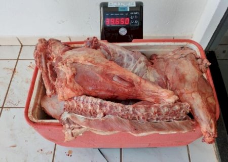 HOMEM TENTA FUGIR, MAS É FLAGRADO PELA PMA COM 170 KG DE CARNE SILVESTRE E MULTA CHEGOU A R$ 14 MIL