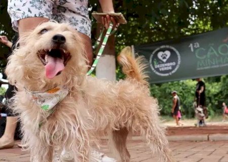 'CÃOMINHADA' REÚNE APOIADORES DA CAUSA ANIMAL E ARRECADA RAÇÃO PARA DOAR A ONGS