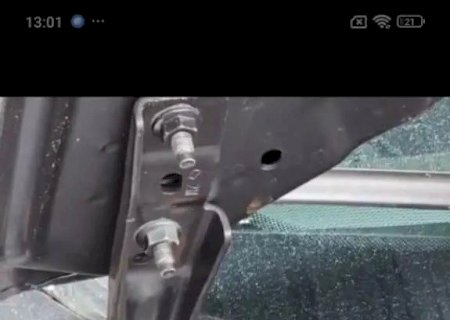 GAMBÁ É RESGATADO EM GARAGEM DE VEÍCULOS EM DOURADOS E DEVOLVIDO À NATUREZA