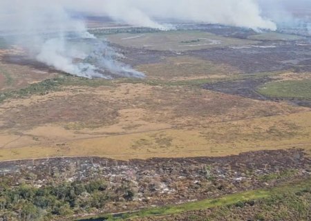 AGU COBRA R$ 725 MILHÕES DE PECUARISTAS ACUSADOS DE FOGO CRIMINOSO NO PANTANAL DE MS