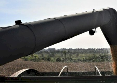 GOVERNO ESPERA REDUÇÃO DO PREÇO DOS ALIMENTOS COM NOVA SAFRA
