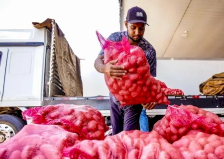 CONAB APONTA QUEDA DE PREÇO DA BATATA E ALTA DA CEBOLA E TOMATE