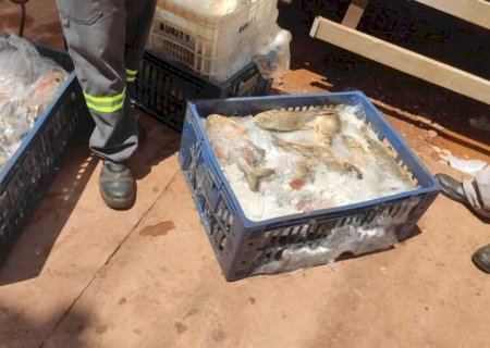 DONO DE MERCADO PRESO POR ARMAZENAR CARNE ESTRAGADA É SOLTO