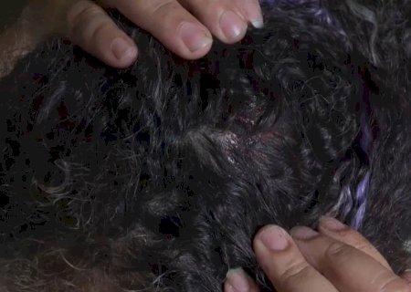 MULHER FICA FERIDA APÓS SER AGREDIDA COM CABO DE CANIVETE
