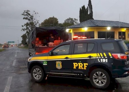 CAMINHÃO COM 3,5 TONELADAS DE AGROTÓXICOS É APREENDIDO E MOTORISTA VAI PRESO