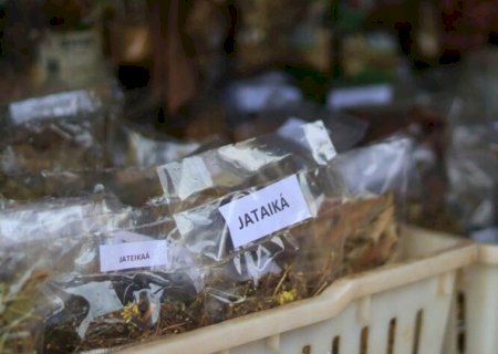COSTUMA EXAGERAR NA DOSE NO CARNAVAL? SAIBA O QUE PODE AUXILIAR A DIMINUIR A RESSACA
