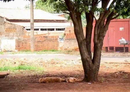 FORAGIDA É ENCONTRADA MORTA LOGO APÓS SABER QUE MÃE FOI PRESA