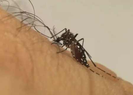 COM DUAS MORTES AINDA EM INVESTIGAÇÃO, MS CHEGA A TRÊS ÓBITOS POR DENGUE NO ANO