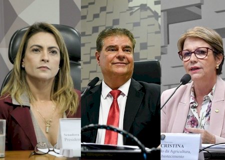 ÚNICO A PRESIDIR COMISSÃO, NELSINHO REASSUME RELAÇÕES EXTERIORES E SORAYA FARÁ PARTE DA CCJ
